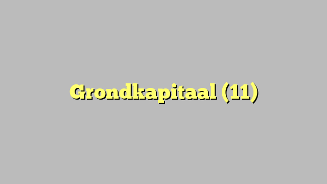 Grondkapitaal (11)