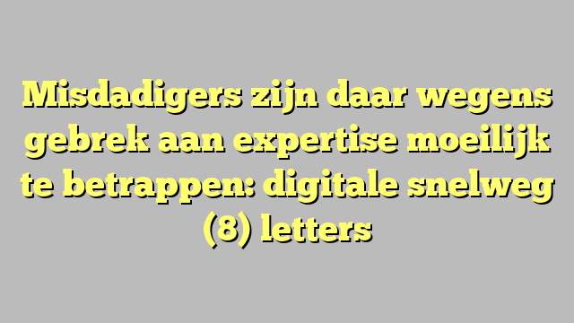 Misdadigers zijn daar wegens gebrek aan expertise moeilijk te betrappen: digitale snelweg (8) letters