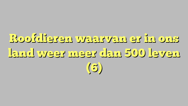 Roofdieren waarvan er in ons land weer meer dan 500 leven (6)